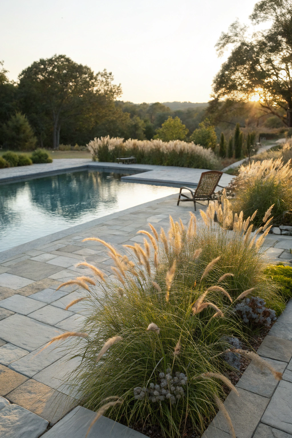 Serene Grasses to Sway in the Breeze
