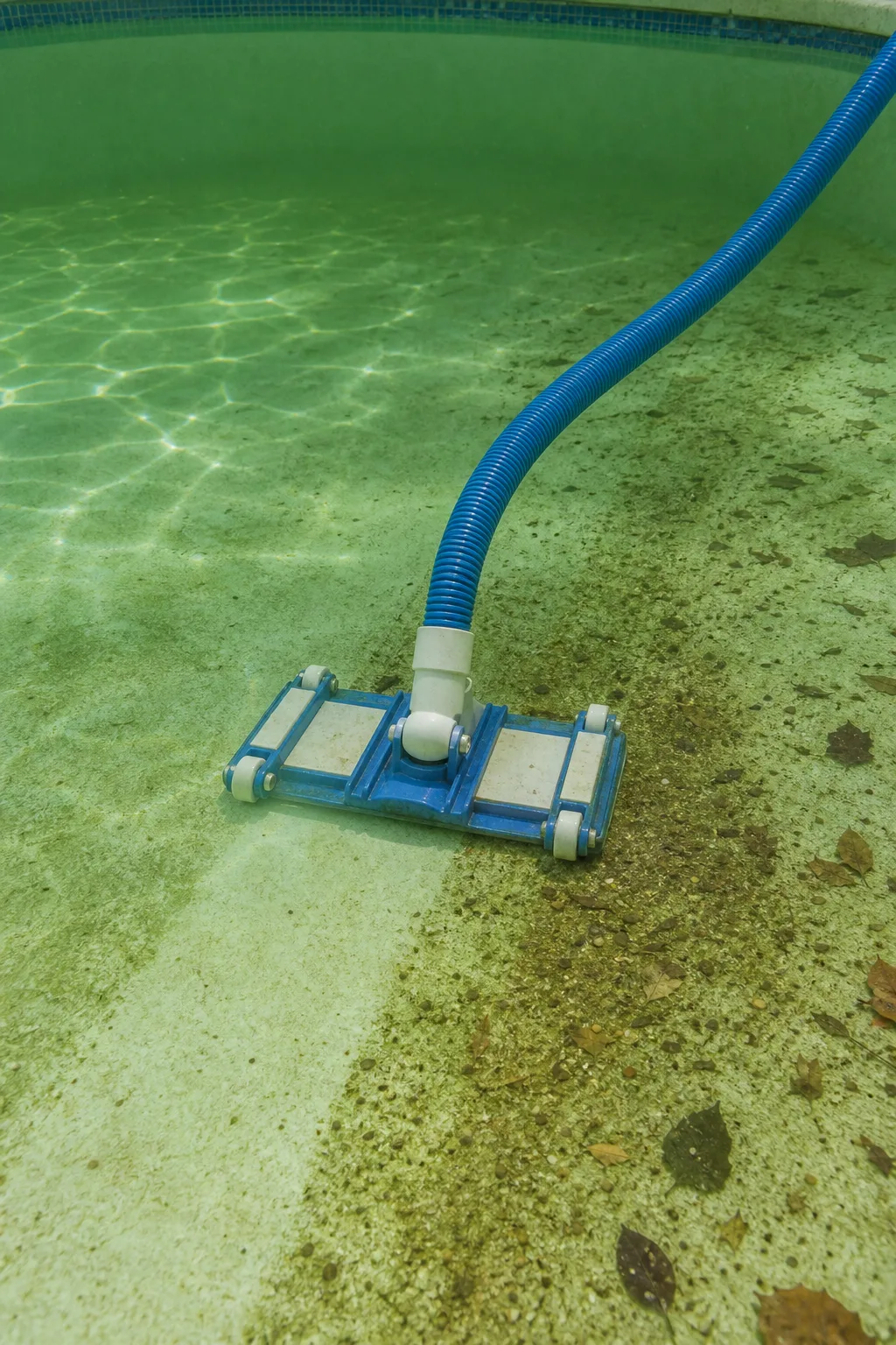 Vacuuming settled green pool debris to waste during opening cleanup